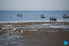 Tourism enters peak season as summer vacation arrives in China