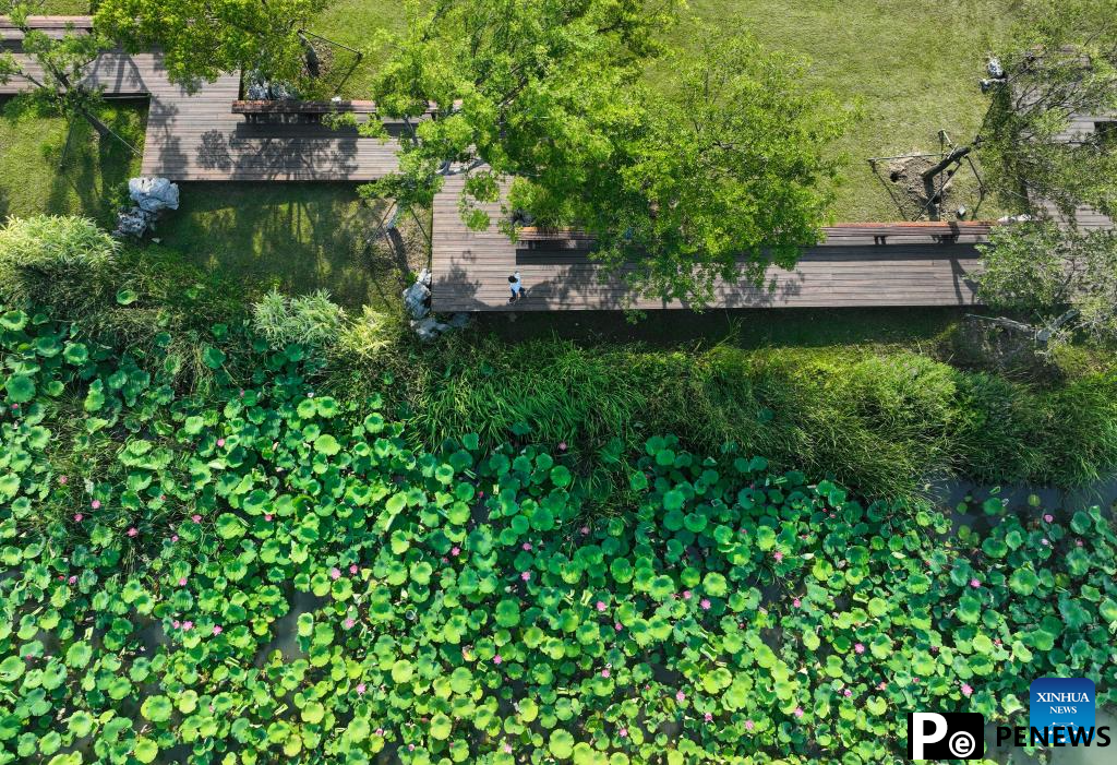 Yangzhou witnesses integration of traditional culture and culture creative industry