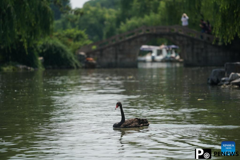 Yangzhou witnesses integration of traditional culture and culture creative industry