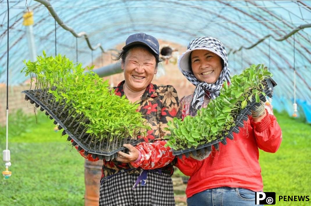 Facility agriculture blazes trail of agricultural development on Xinjiang