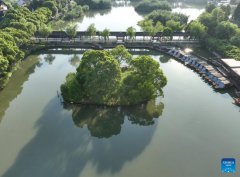 Scenery of Shajiabang National Wetland Park in Changshu, E China's Jiangsu