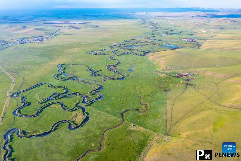 Scenery of grassland in Xilingol League of N China