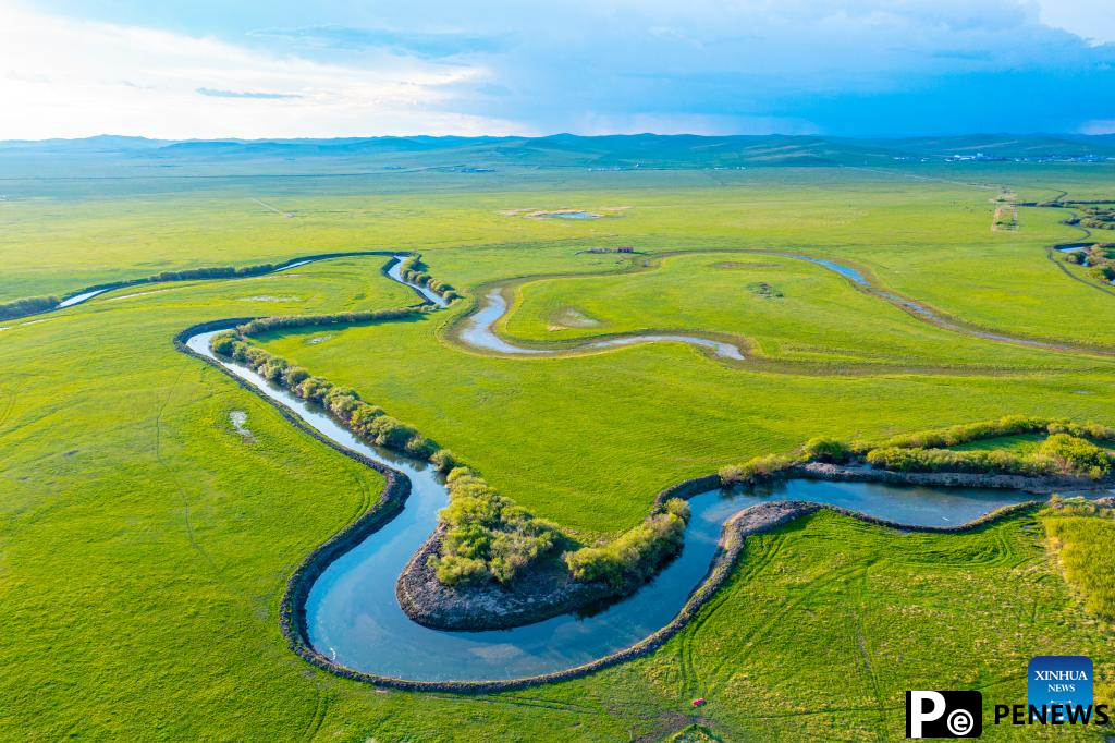 Scenery of grassland in Xilingol League of N China