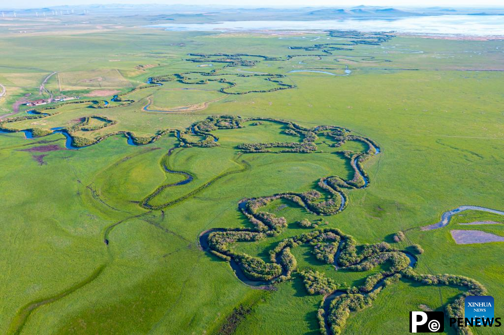 Scenery of grassland in Xilingol League of N China