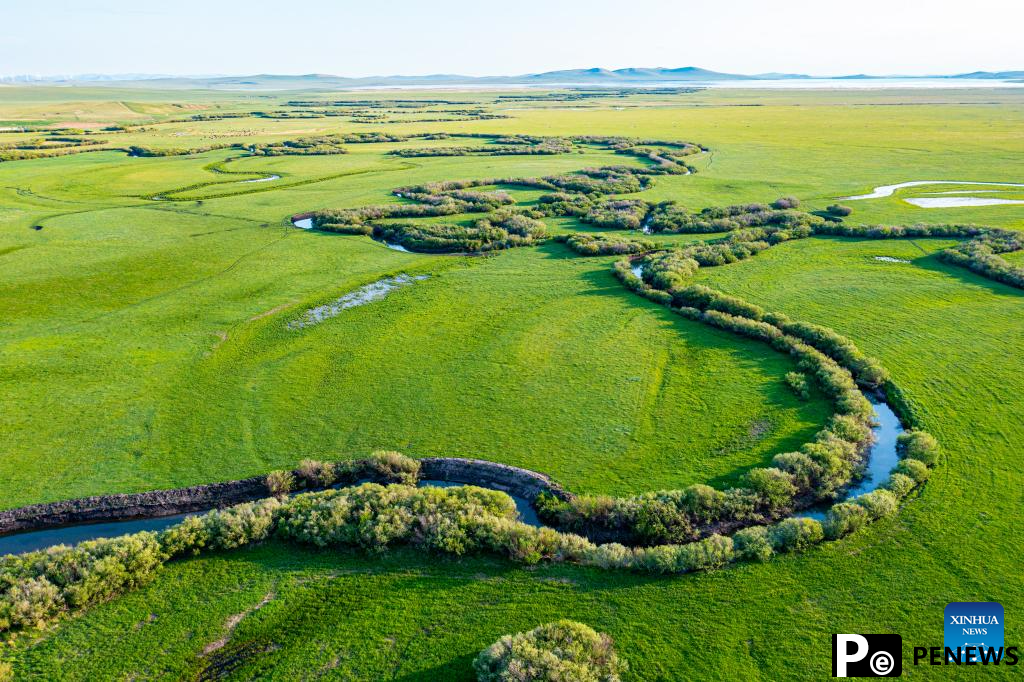 Scenery of grassland in Xilingol League of N China