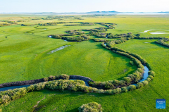 Scenery of grassland in Xilingol League of N China's Inner Mongolia