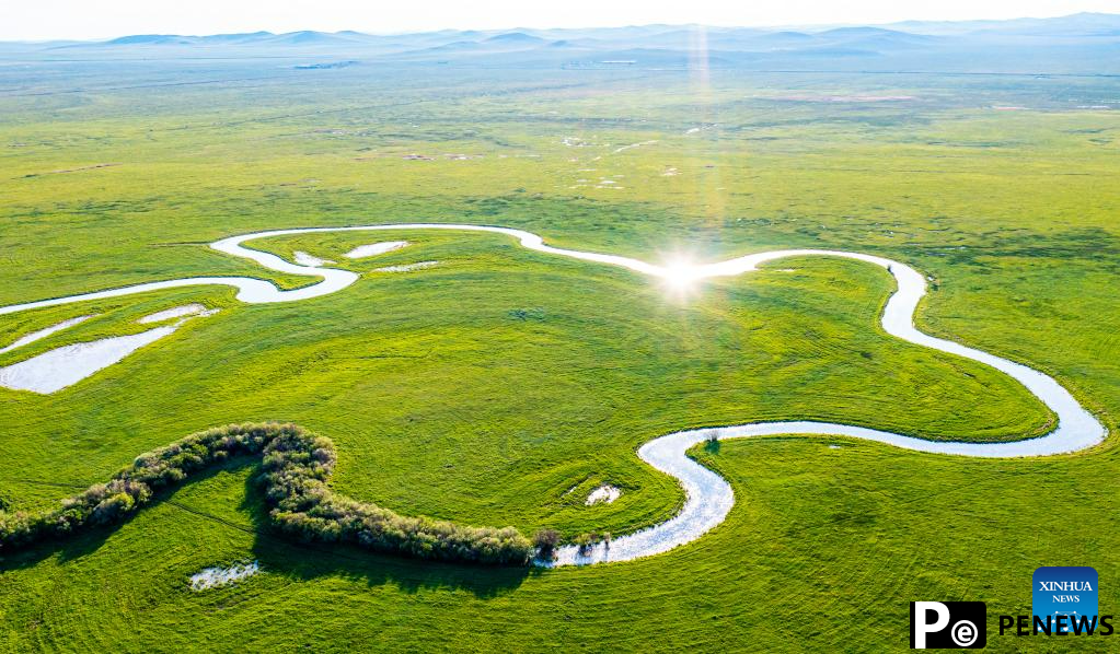 Scenery of grassland in Xilingol League of N China