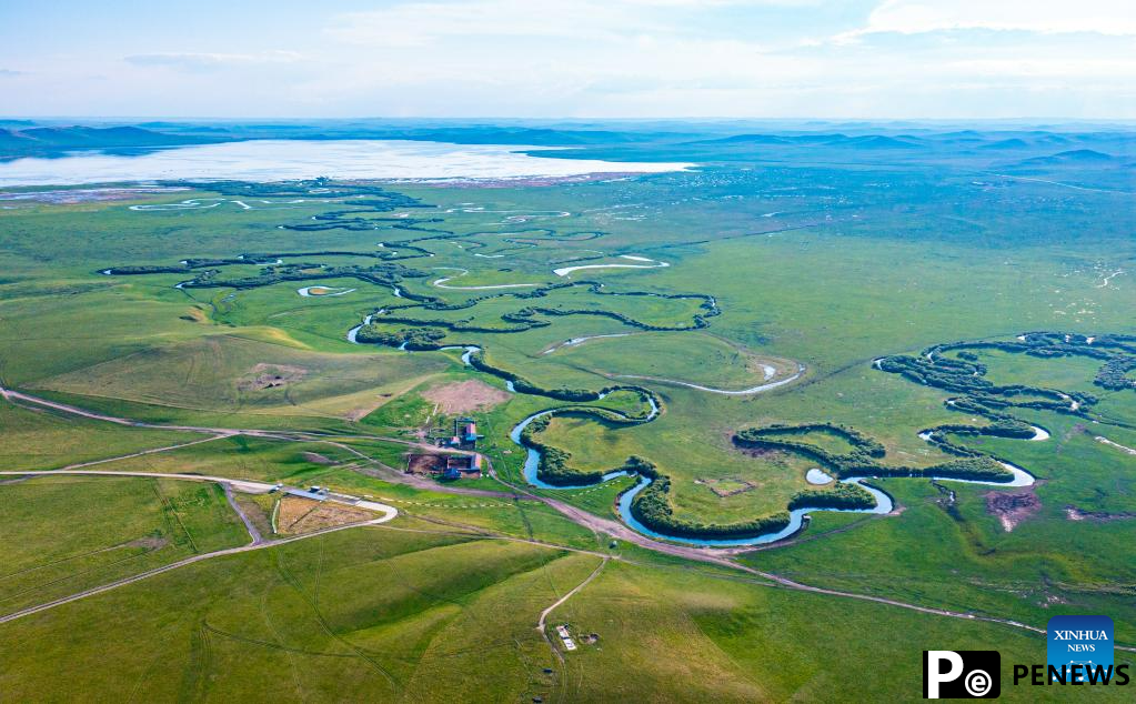 Scenery of grassland in Xilingol League of N China