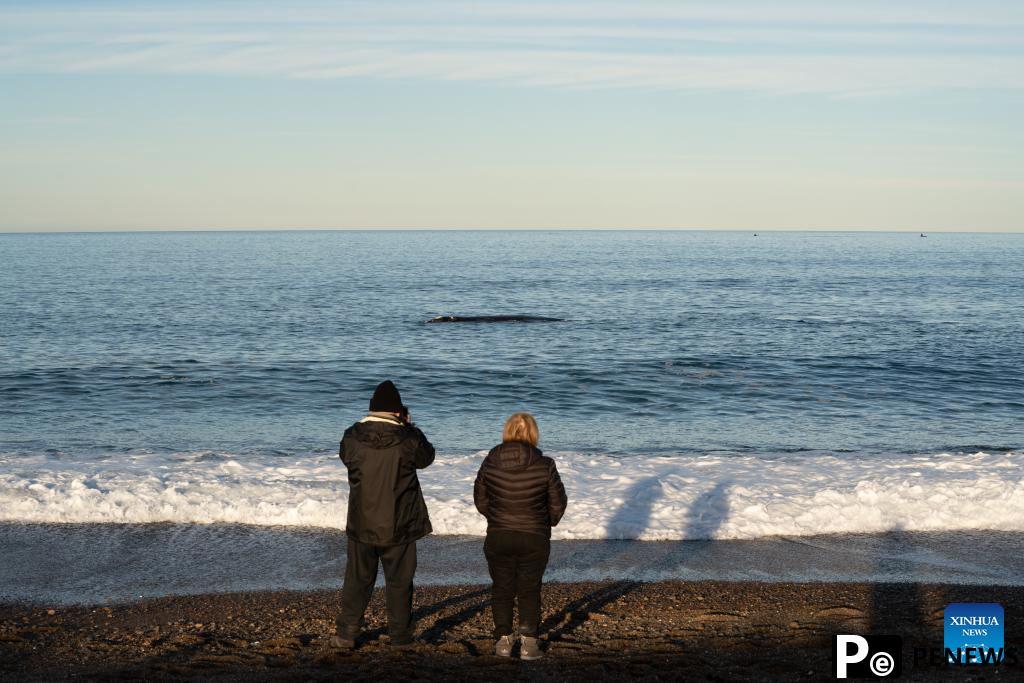 Tourists observe southern right whales in Puerto Madryn, Argentina