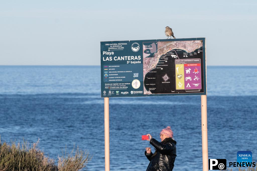 Tourists observe southern right whales in Puerto Madryn, Argentina