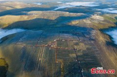 World's largest and highest-altitude hydro-solar power station put into operation