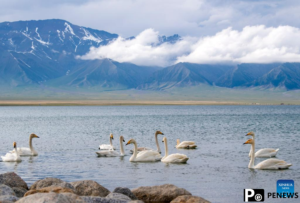 Xinjiang sees booming tourism in first four months