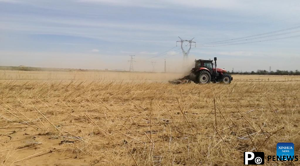 Sci-tech innovation turns desert sands into arable land