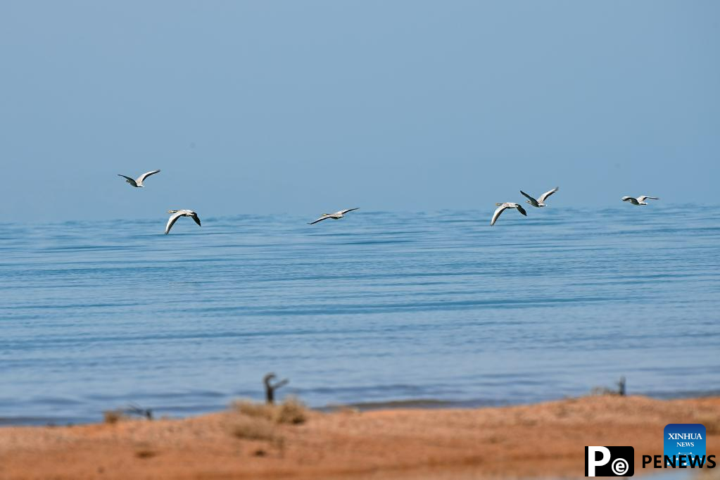 Scenery of Ayakum Lake in NW China