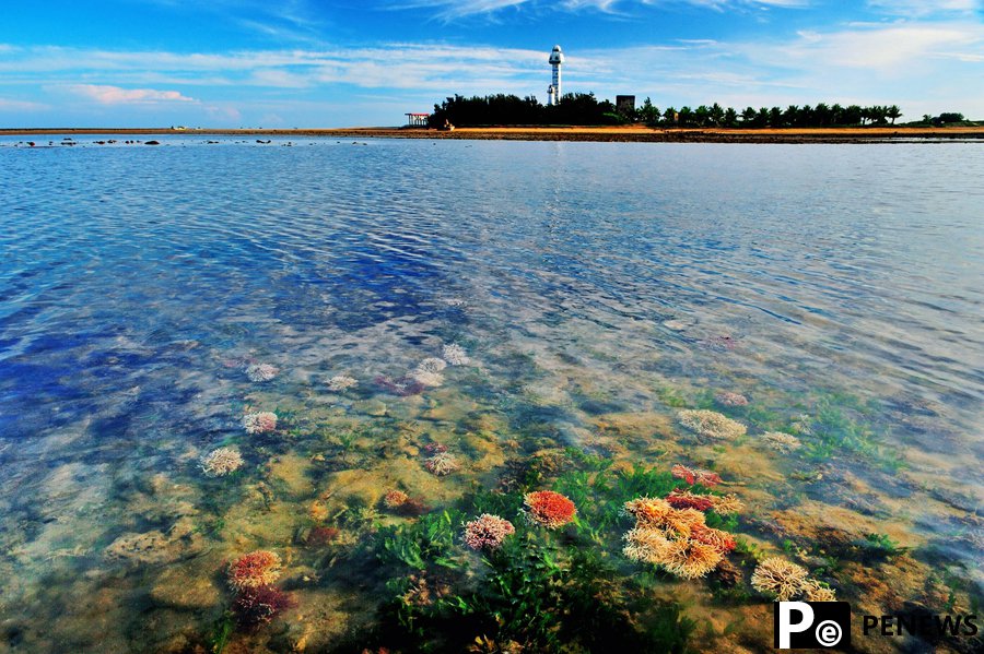 Explore Xuwen National Coral Reef Nature Reserve in China