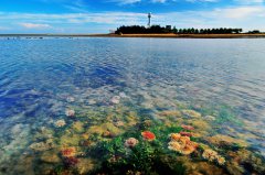 Explore Xuwen National Coral Reef Nature Reserve in China's Guangdong