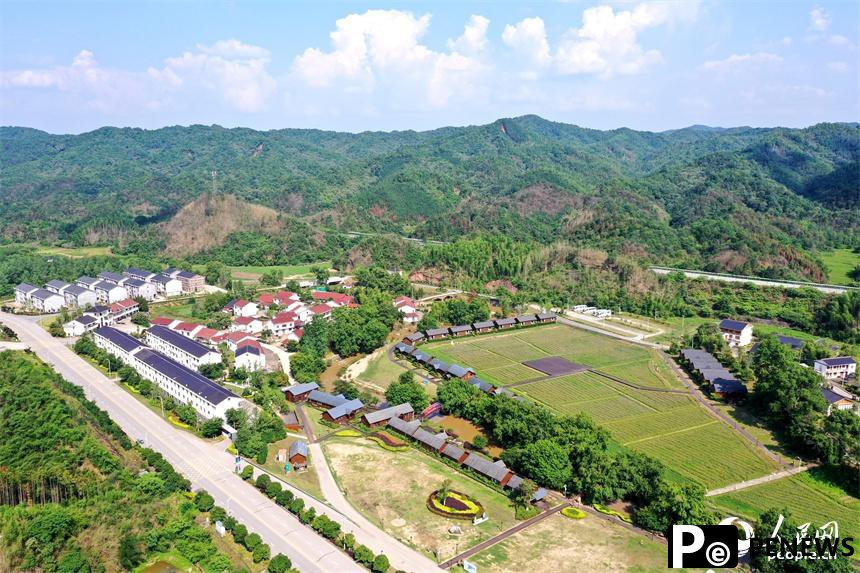 Integrated development of agriculture, culture, tourism revitalizes mountainous village in E China