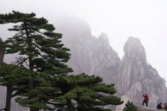 Jiulong Peak: A paradise of nature, knowledge and prosperity