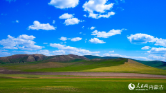 Magnificent scenery of greening grasslands in Hulun Buir, N China's Inner Mongolia