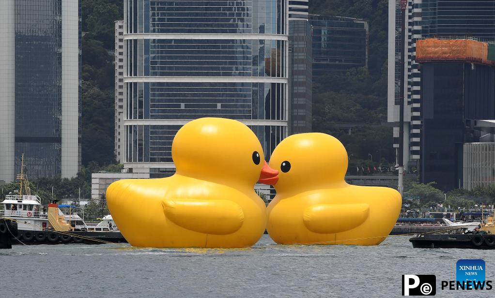 Hong Kong welcomes back its favorite giant rubber ducks after 10 years