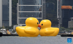 Hong Kong welcomes back its favorite giant rubber ducks after 10 years