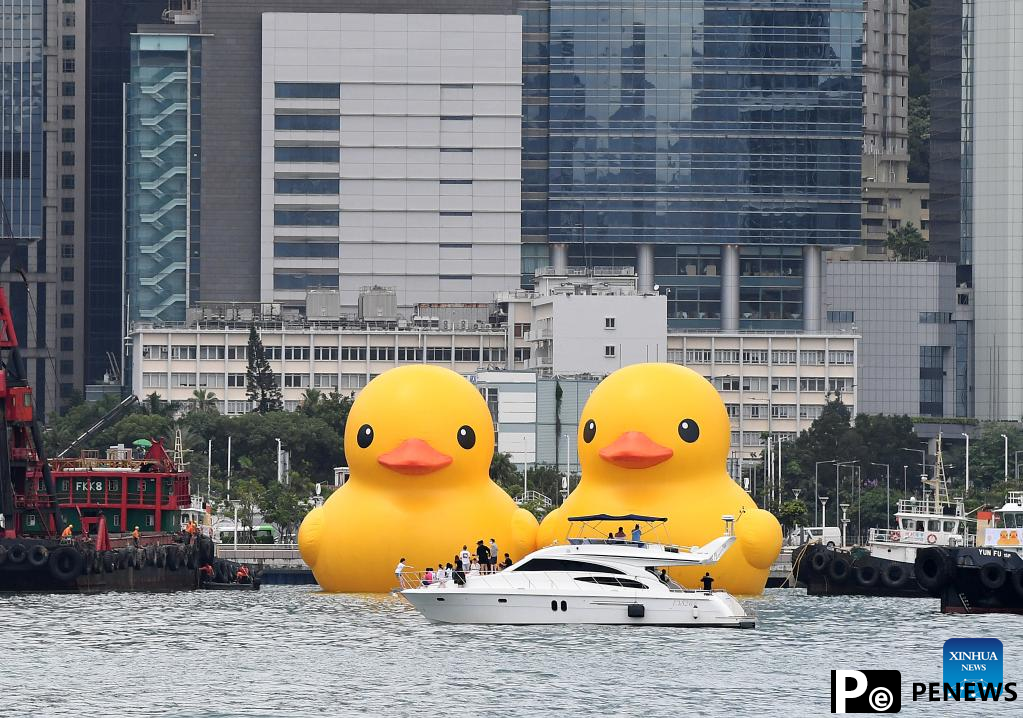 Hong Kong welcomes back its favorite giant rubber ducks after 10 years