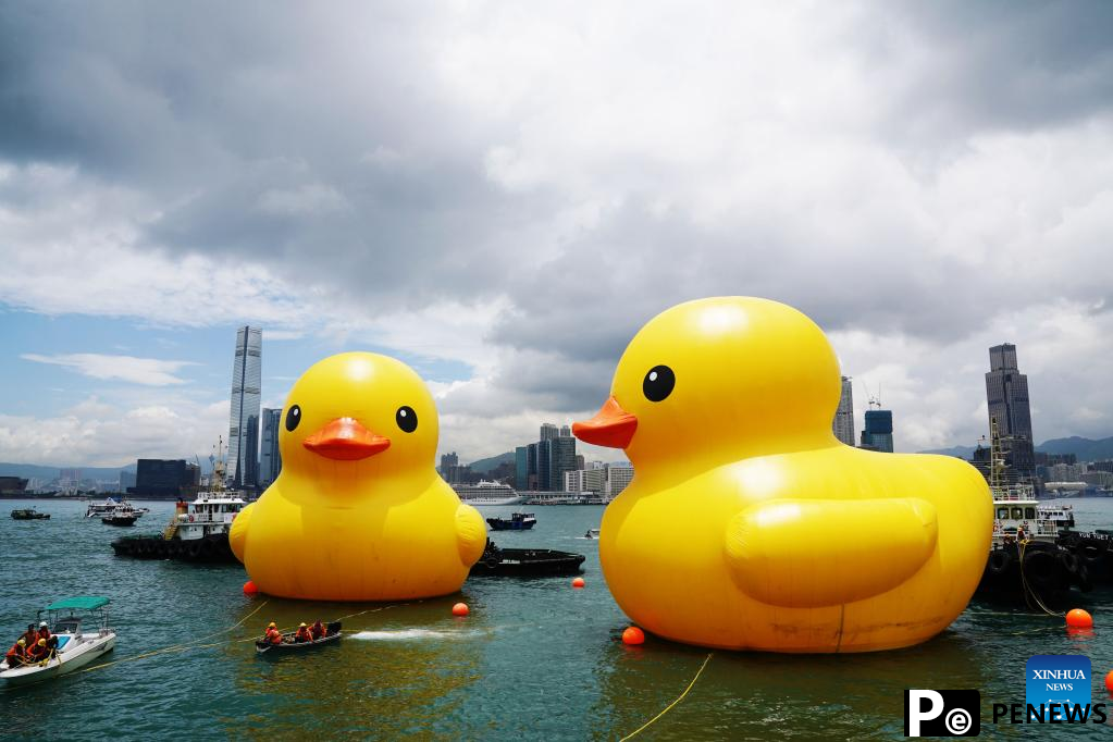 Hong Kong welcomes back its favorite giant rubber ducks after 10 years