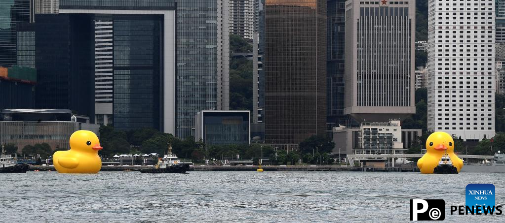 Hong Kong welcomes back its favorite giant rubber ducks after 10 years