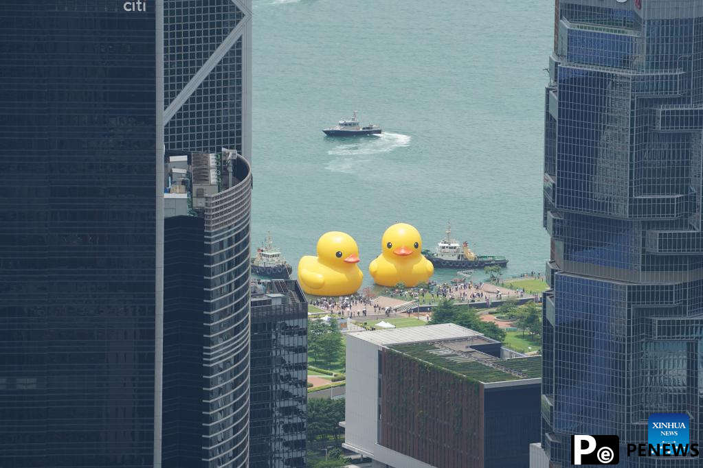 Hong Kong welcomes back its favorite giant rubber ducks after 10 years