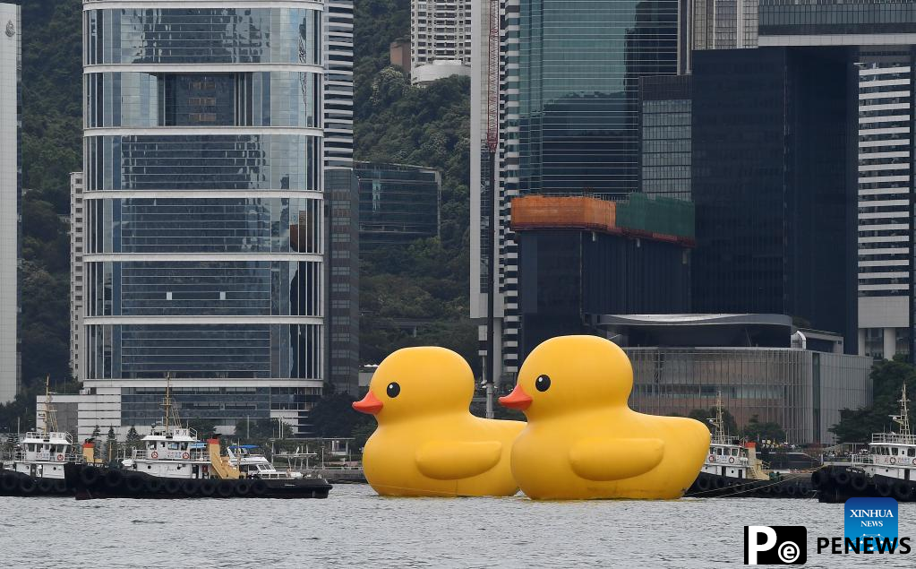 Hong Kong welcomes back its favorite giant rubber ducks after 10 years