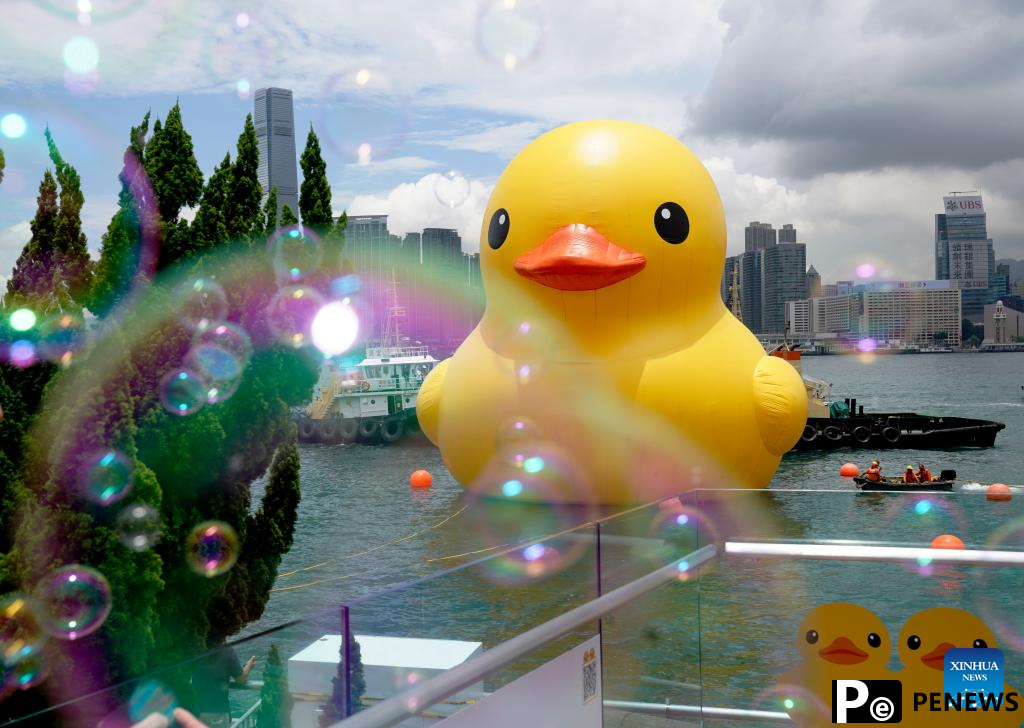 Hong Kong welcomes back its favorite giant rubber ducks after 10 years