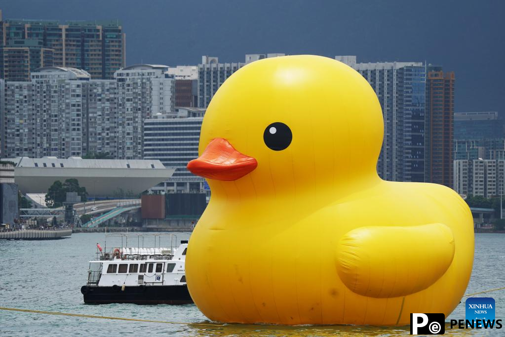 Hong Kong welcomes back its favorite giant rubber ducks after 10 years