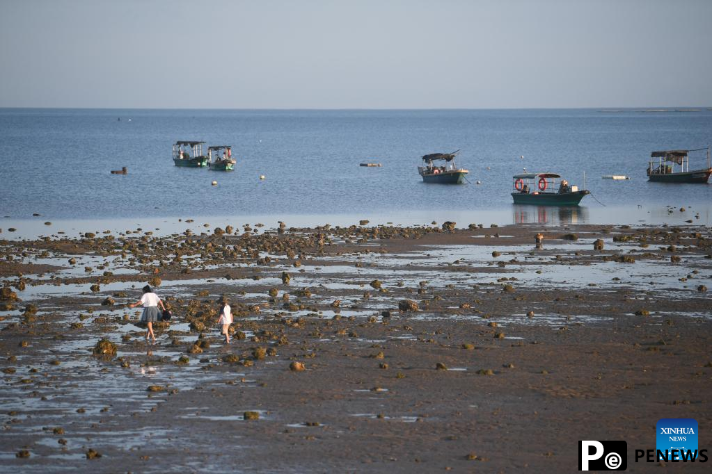 "Nanji" Village in S China attracts tourists for natural environment and atmosphere