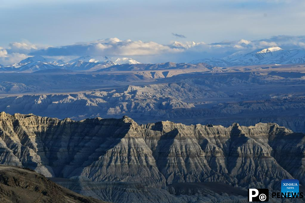 Scenery of earth forest in Zanda County, SW China