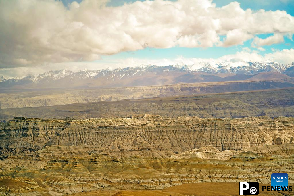 Scenery of earth forest in Zanda County, SW China