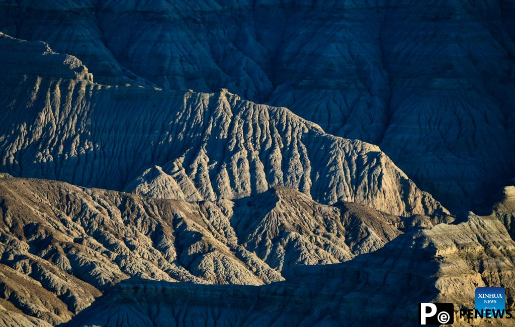 Scenery of earth forest in Zanda County, SW China