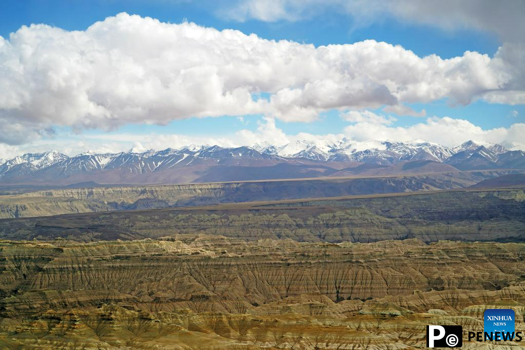 Scenery of earth forest in Zanda County, SW China