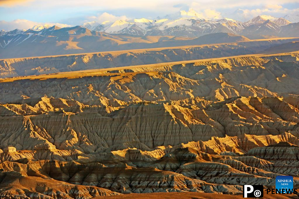 Scenery of earth forest in Zanda County, SW China
