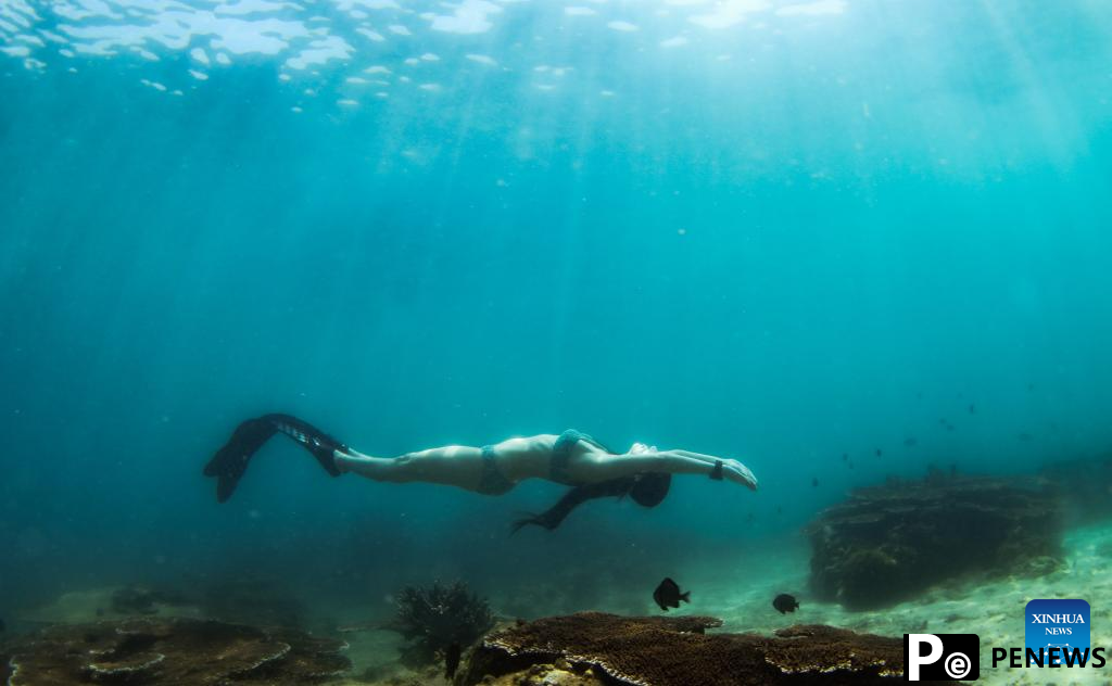 In pics: diving activity in waters of Fenjiezhou Island, S China