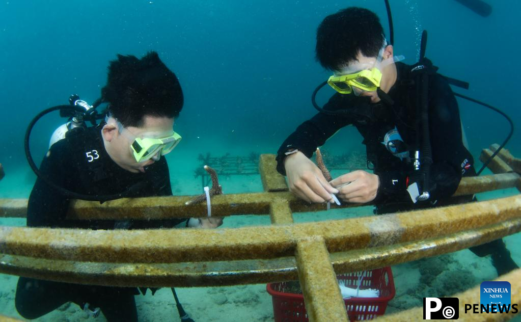 In pics: diving activity in waters of Fenjiezhou Island, S China