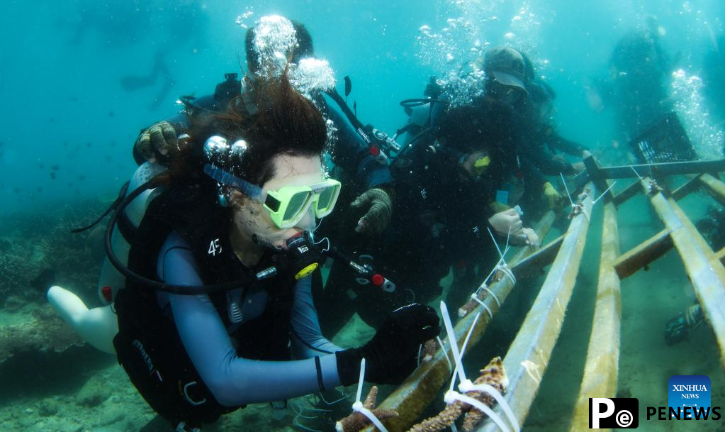 In pics: diving activity in waters of Fenjiezhou Island, S China