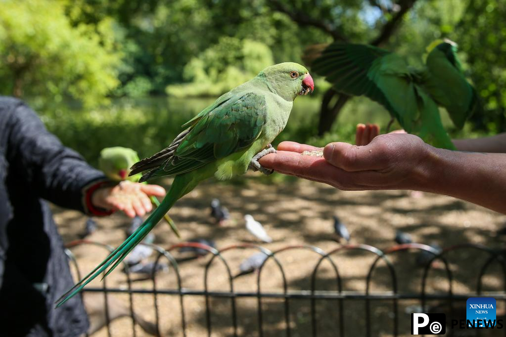 In pics: daily life in London
