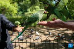 In pics: daily life in London