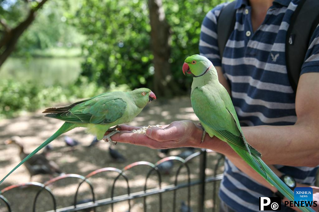 In pics: daily life in London