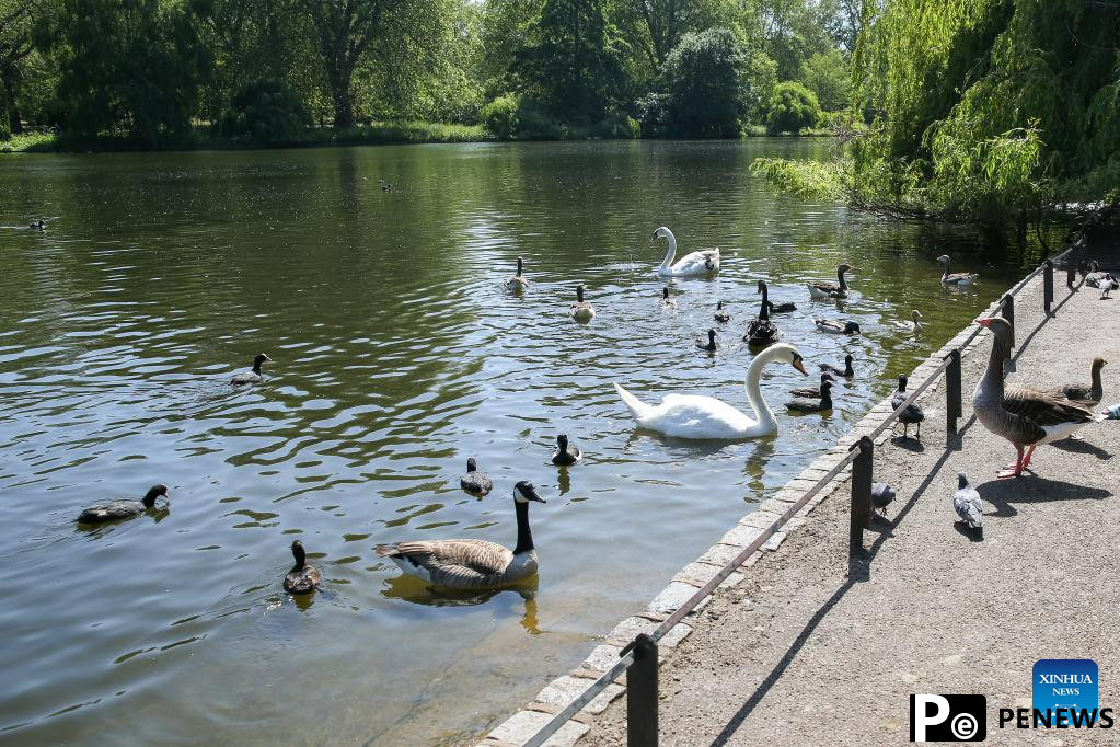 In pics: daily life in London