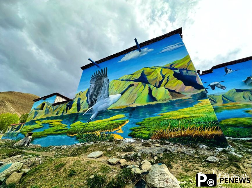 3D paintings add beauty to village in SW China's Xizang