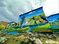 3D paintings add beauty to village in SW China's Xizang