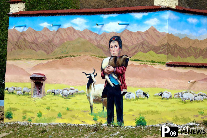 3D paintings add beauty to village in SW China