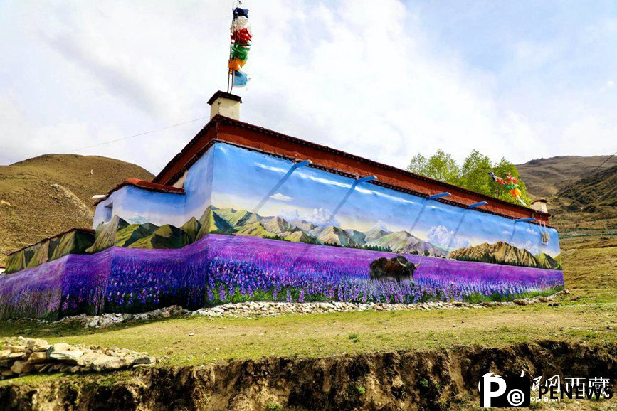 3D paintings add beauty to village in SW China