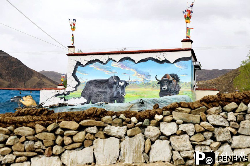 3D paintings add beauty to village in SW China